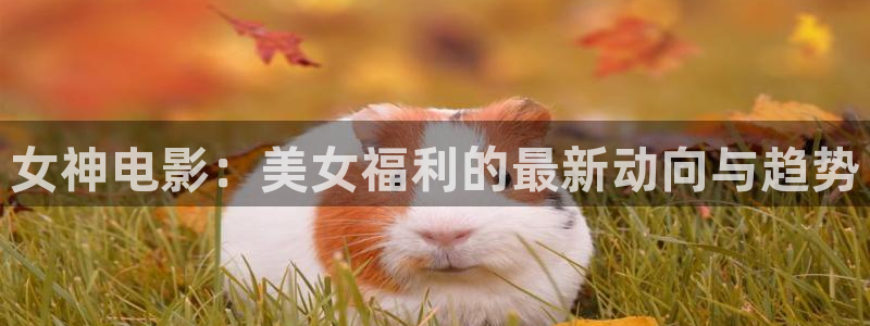 午夜被窝电影网