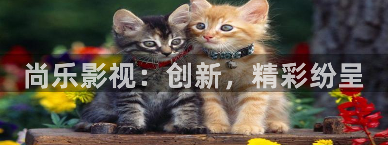 秋霞影院被窝影院在线播放